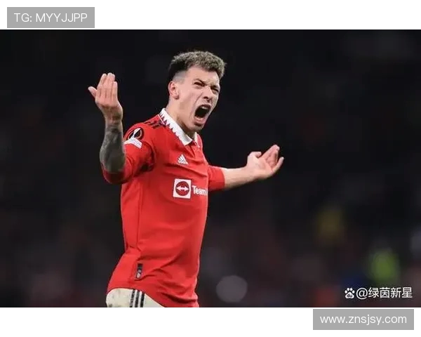 马丁内斯的传奇旅程：从足球新星到世界级教练的蜕变与挑战