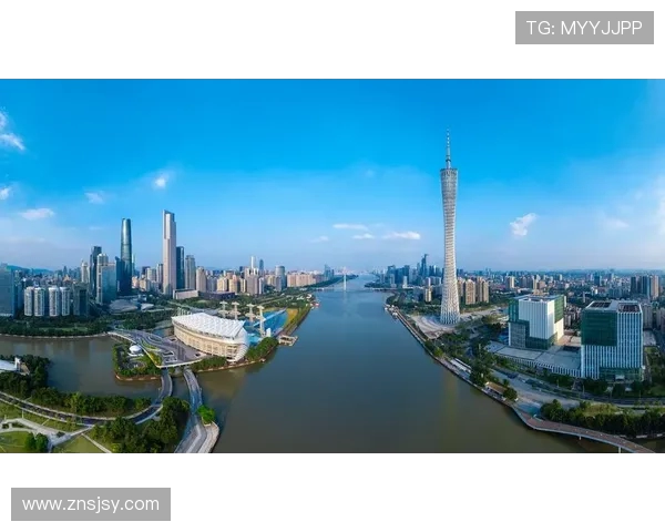 上海乒乓球队在城市联赛中的奋斗与突破之路全景回顾